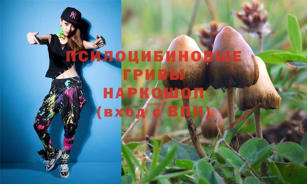 а пвп мука Горно-Алтайск