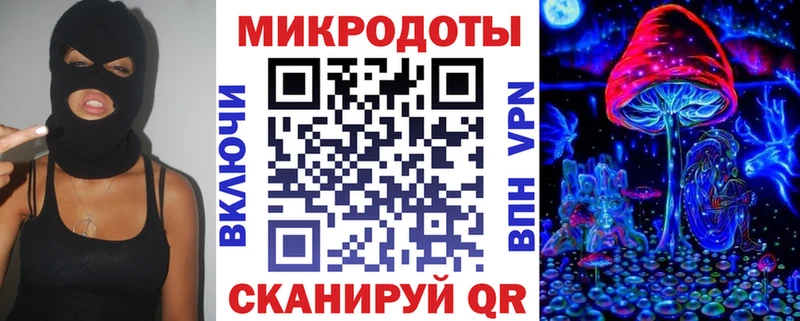 Галлюциногенные грибы Psilocybe Бугульма