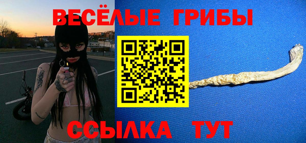 Псилоцибиновые грибы прущие грибы  Вход с VPN  наркота  Бугульма 