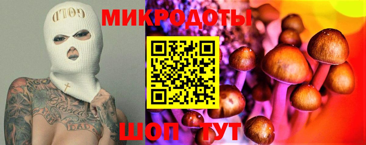 Псилоцибиновые грибы мицелий  Бугульма 